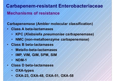 proteus mirabilis treatment.
